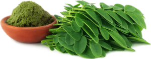 Moringa